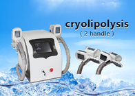 Portable two Handles Cryolipolysis Slimming Machine , Body Sculpting Machine