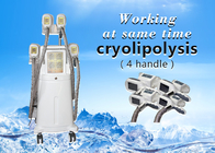 Professional 4 Hand Pieces Cryolipolysis Fat Freeze Slimming Machine